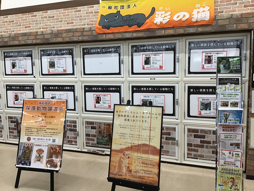 ペットアイランド浦和南店 ペット検索 ペット大好き