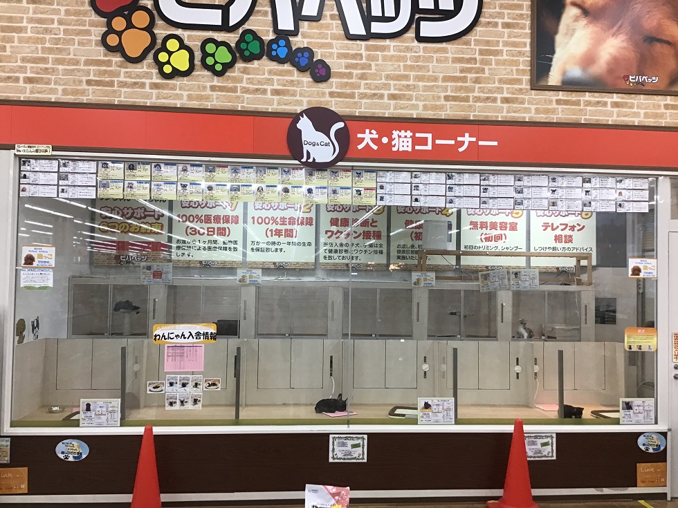 ビバペッツ長久手店 ペット検索 ペット大好き