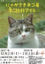 猫好きスタッフによる猫を科学的に解明する企画展、長崎で開催中