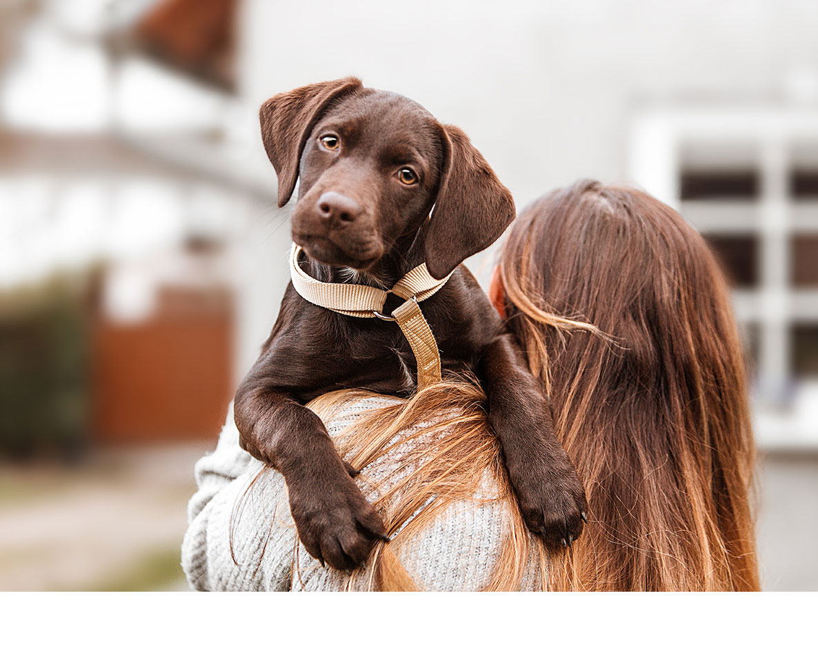 亡くなった愛犬の灰でタトゥーを入れた女性