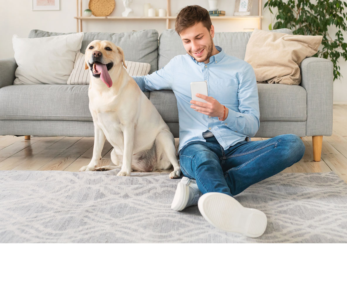 飼い主のスマホいじりが終わった瞬間の犬の反応がおもしろい