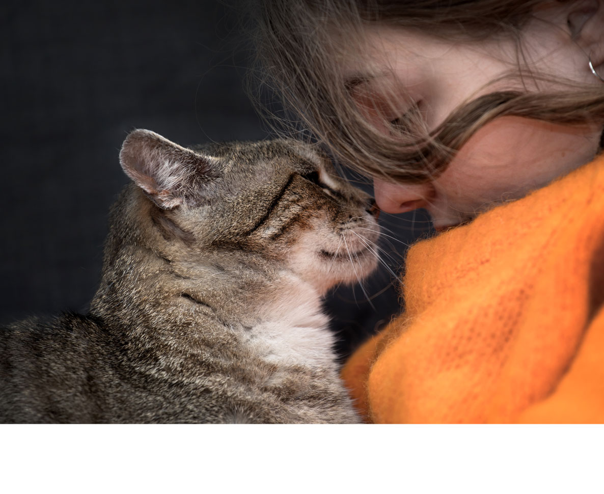 洪水で自宅が倒壊。でも愛猫は奇跡的に見つかった