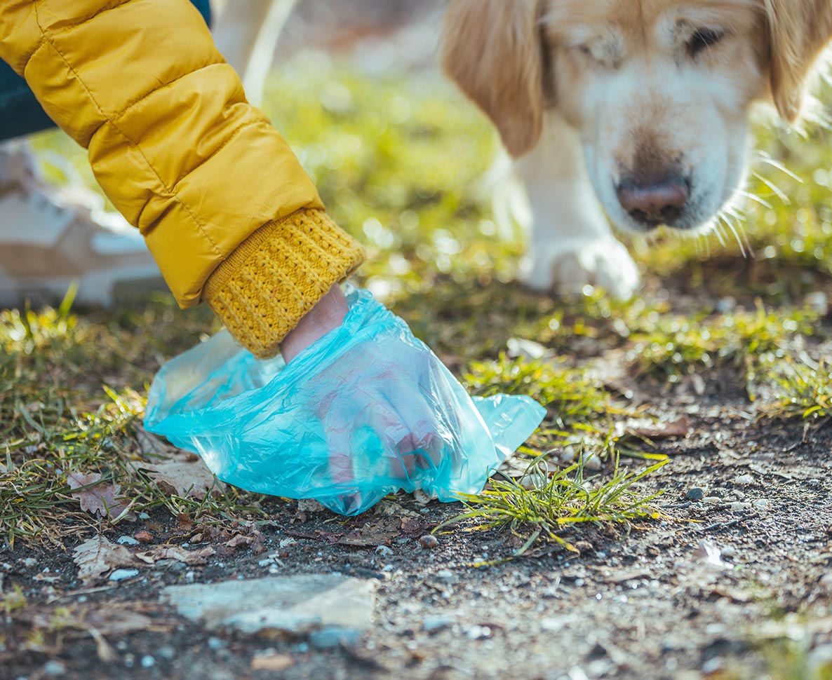 懐かしいお菓子の香りがする犬用トイレ袋