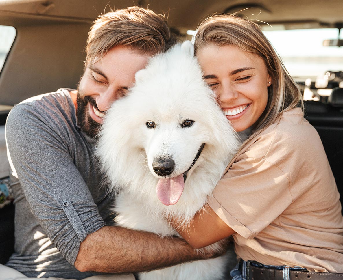 人気フットボール選手が虜になっている犬、サモエドってどんな犬？